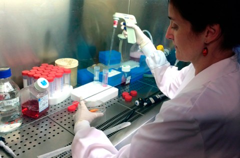 Investigadora en el laboratorio de biología sintética de la UPF