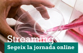 Streaming Jornada divulgativa Diabetis tipus 1: estem lluny d'una cura?