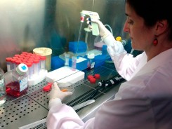 Investigadora al laboratori de biologia sintètica de la UPF